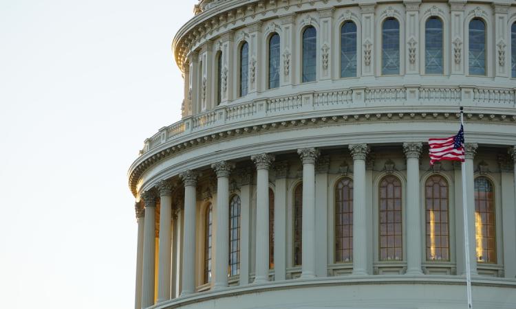 Capitol Building in Washington, D.C.